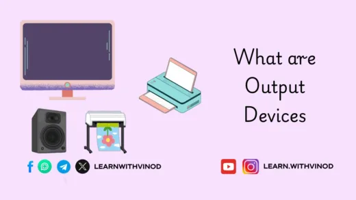 What are Output Devices