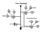 Tree Topology